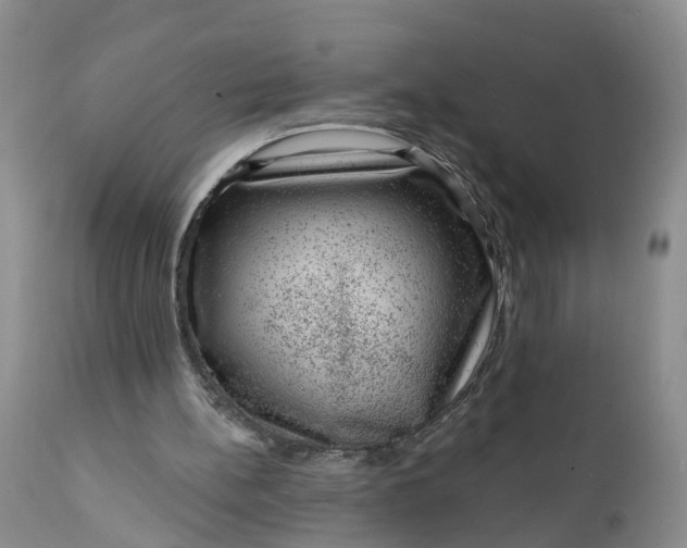 X0000111040148200907091617