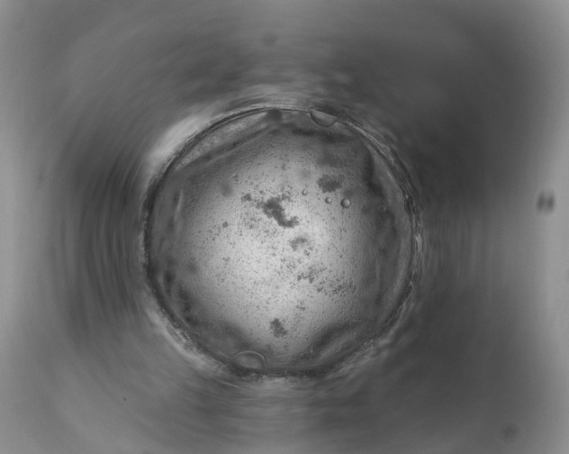 X0000111040149200907091617