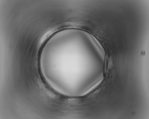 X0000111040150200907091617