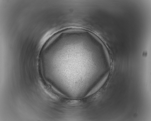 X0000111040151200907091617