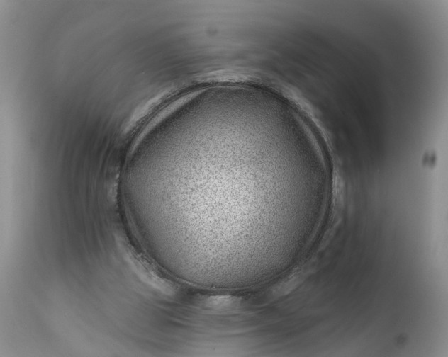 X0000111040153200907091617