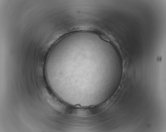 X0000111040154200907091617