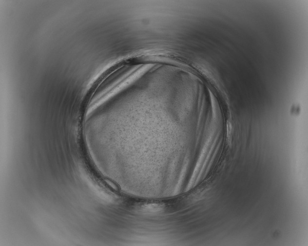 X0000111040156200907091618