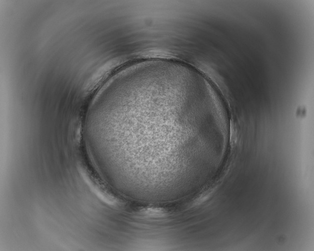 X0000111040157200907091618