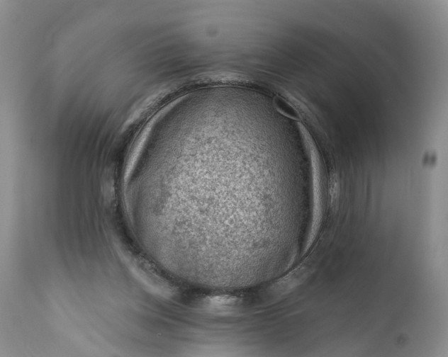 X0000111040158200907091618