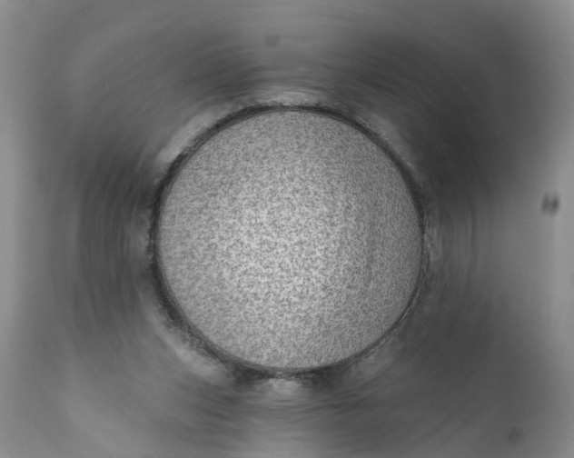 X0000111040159200907091618