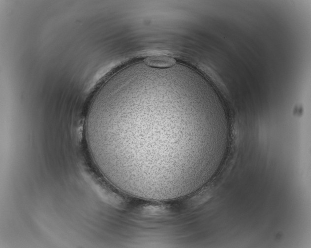 X0000111040160200907091618