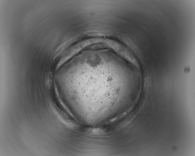 X0000111040165200907091618