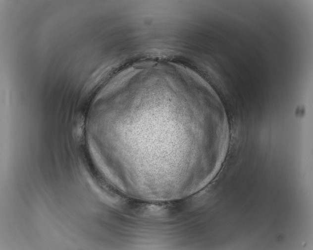 X0000111040166200907091618