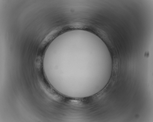 X0000111040167200907091618