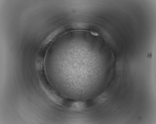 X0000111040168200907091618