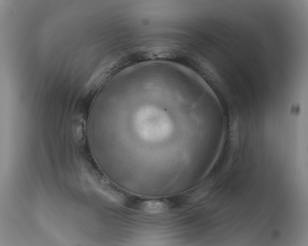 X0000111040169200907091618