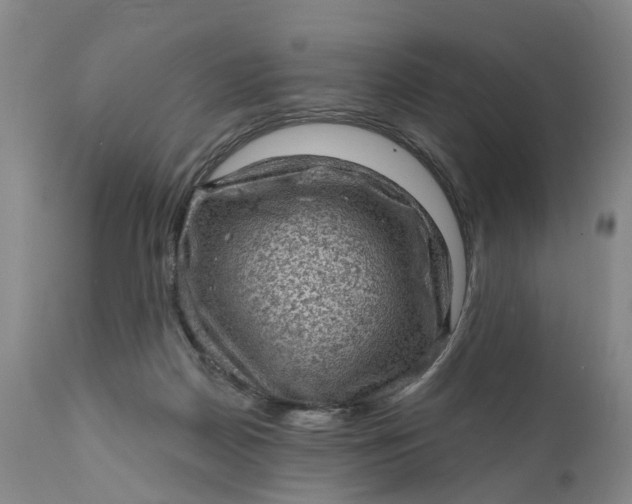 X0000111040170200907091618