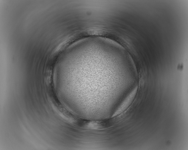 X0000111040171200907091618