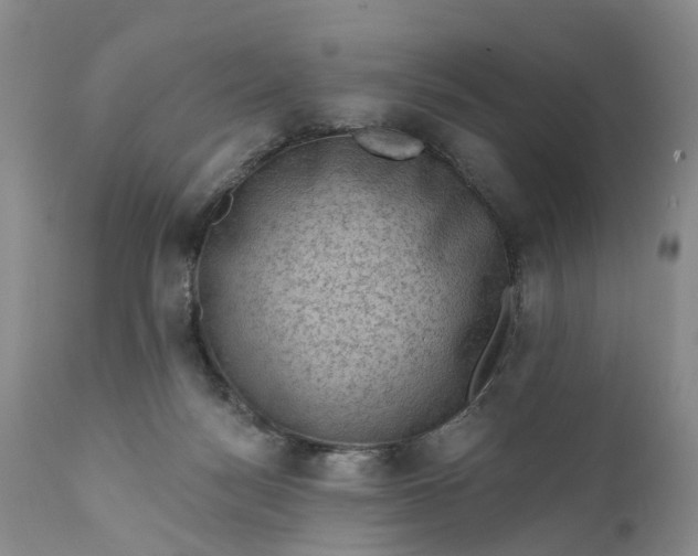 X0000111040172200907091618