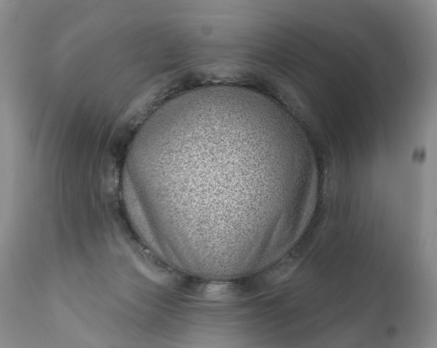 X0000111040173200907091618