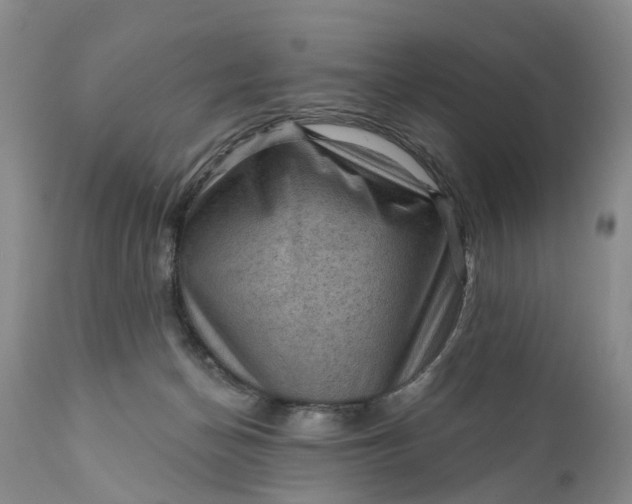 X0000111040174200907091618