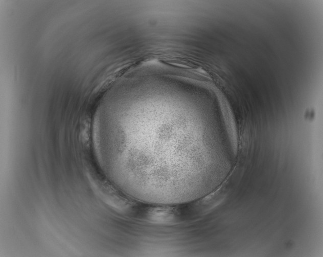 X0000111040175200907091618