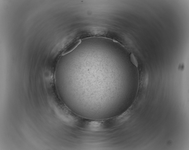 X0000111040176200907091618