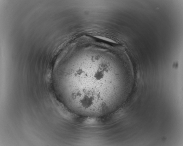 X0000111040177200907091618