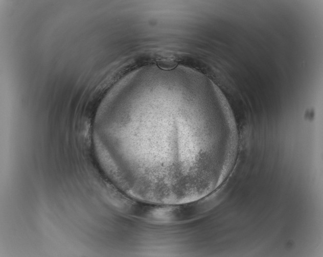 X0000111040178200907091618