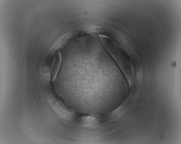 X0000111040180200907091618