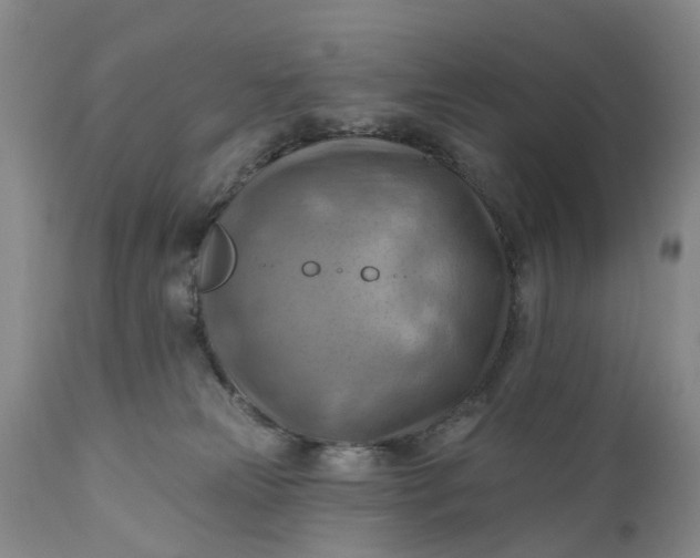 X0000111040181200907091618