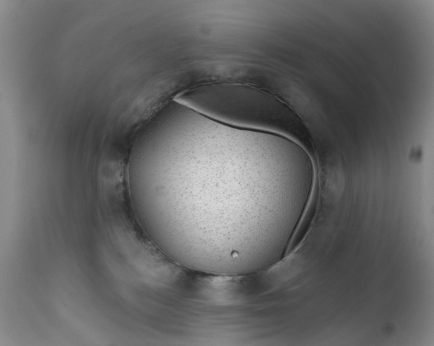 X0000111040184200907091618