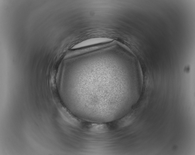 X0000111040185200907091618