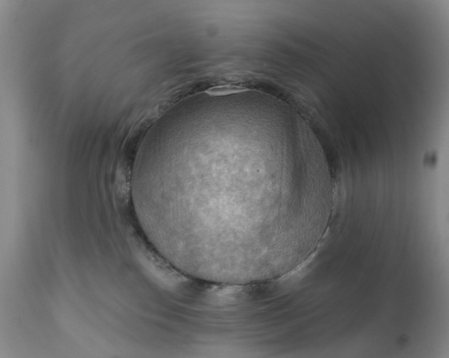 X0000111040186200907091618