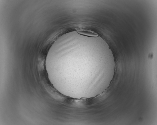 X0000111040188200907091618