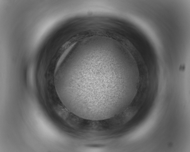 X0000111040189200907091618