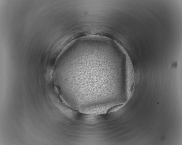 X0000111040191200907091618