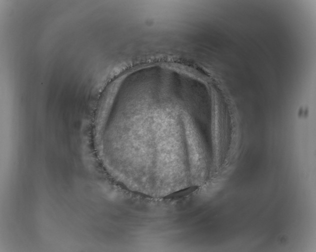 X0000111040192200907091618