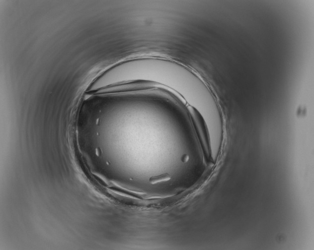 X0000111040193200907091617