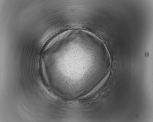 X0000111040194200907091617