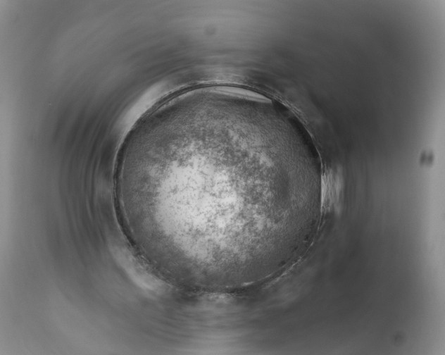 X0000111040195200907091617