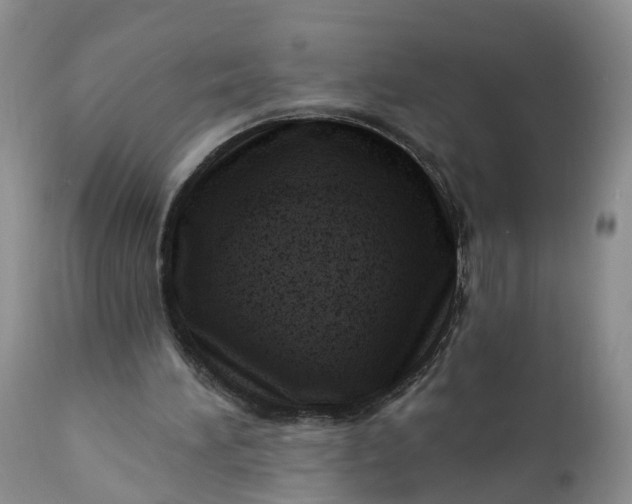 X0000111040196200907091617