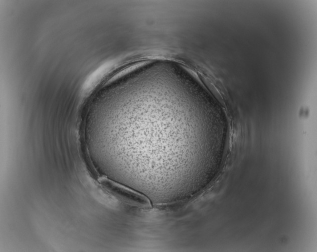 X0000111040197200907091617