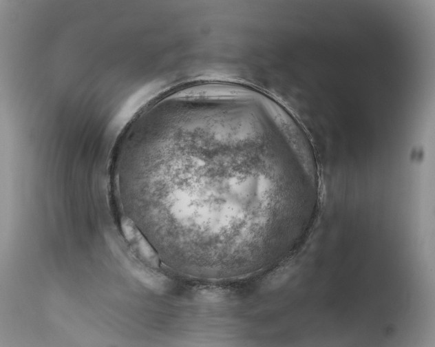 X0000111040199200907091617