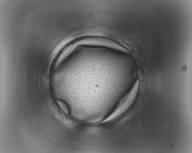 X0000111040200200907091617