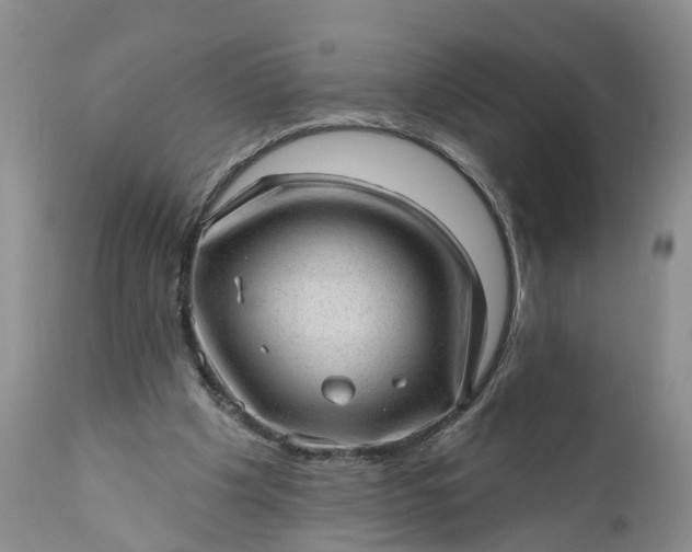 X0000111040201200907091617