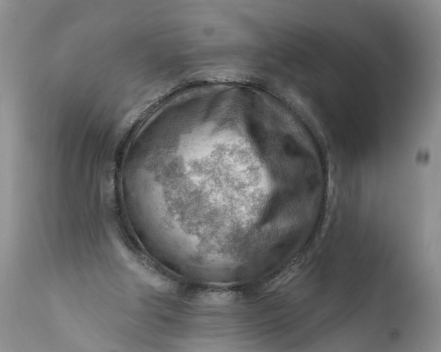 X0000111040202200907091617