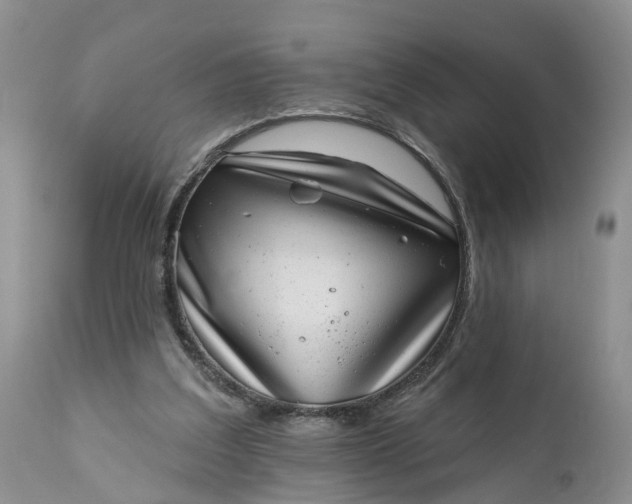 X0000111040203200907091617