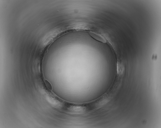 X0000111040205200907091617