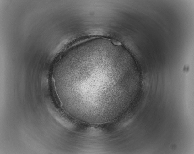 X0000111040207200907091617