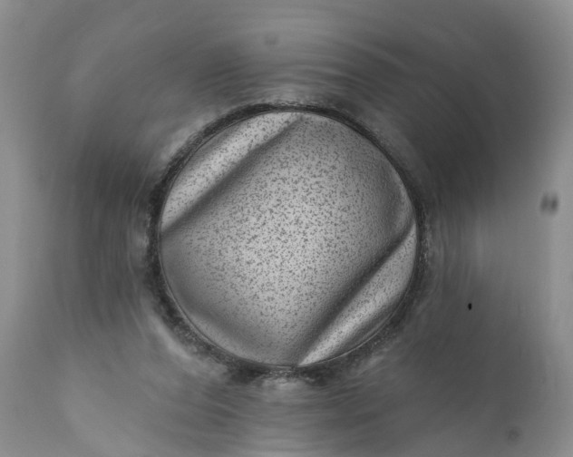 X0000111040208200907091617