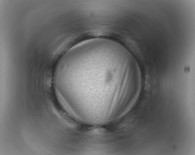 X0000111040210200907091617