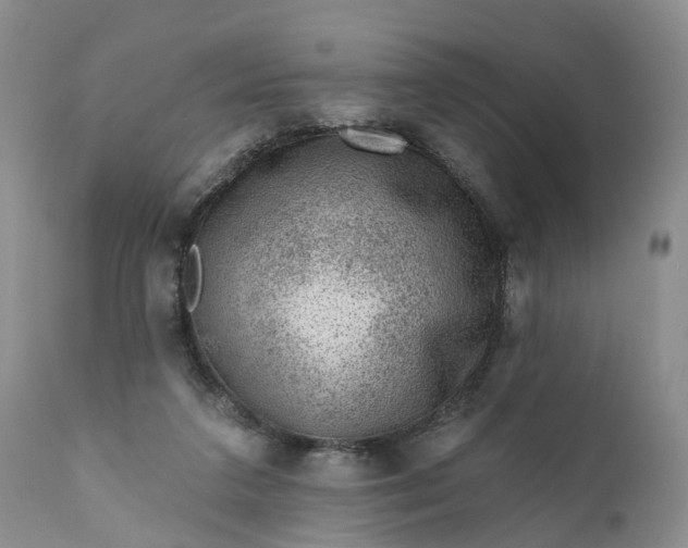 X0000111040211200907091617