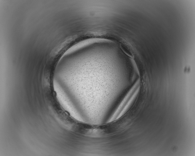 X0000111040212200907091617